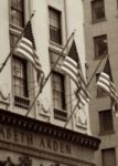 The Letter w_2 - NYC - Sepia Tone