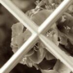 The Letter x_11 - London - Sepia Tone