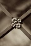 The Letter x_11 - PARIS - Sepia Tone