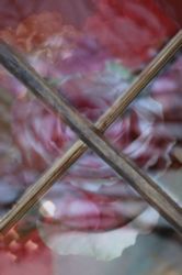 The Letter x_6 - PARIS - Color