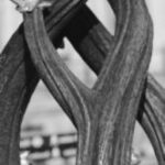 The Letter y_2 - London - Black & White