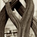 The Letter y_2 - London - Sepia Tone