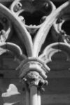 The Letter y_3 - PARIS - Black & White