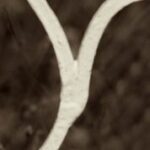 The Letter y_5 - Toronto - Sepia Tone