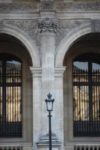 The Letter y_6 - PARIS - Color