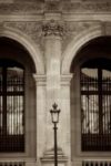 The Letter y_6 - PARIS - Sepia Tone